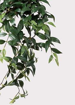 Afloral Fake Ruscus Leaf Hanging Plant - 31
