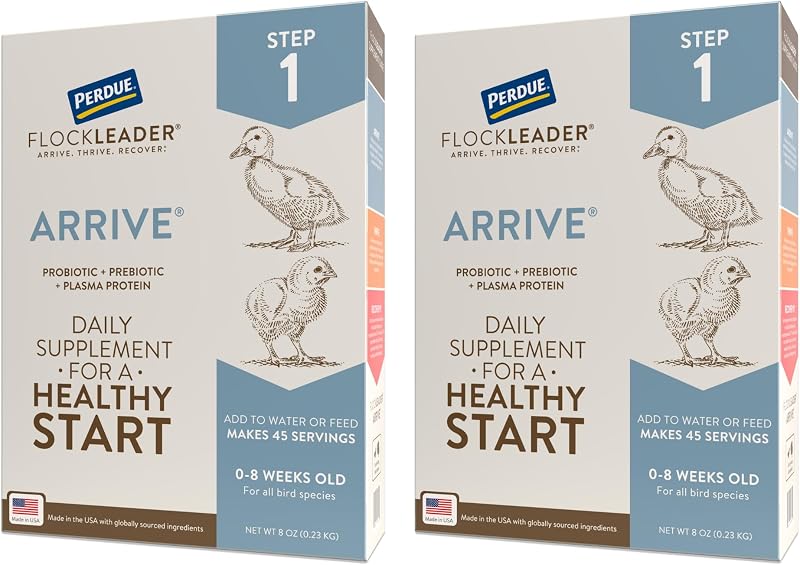 FlockLeader Arrive Suplemento Probiótico e Prebiótico para Pintinhos de Até 8 Semanas, 2 Pacotes de 227 g