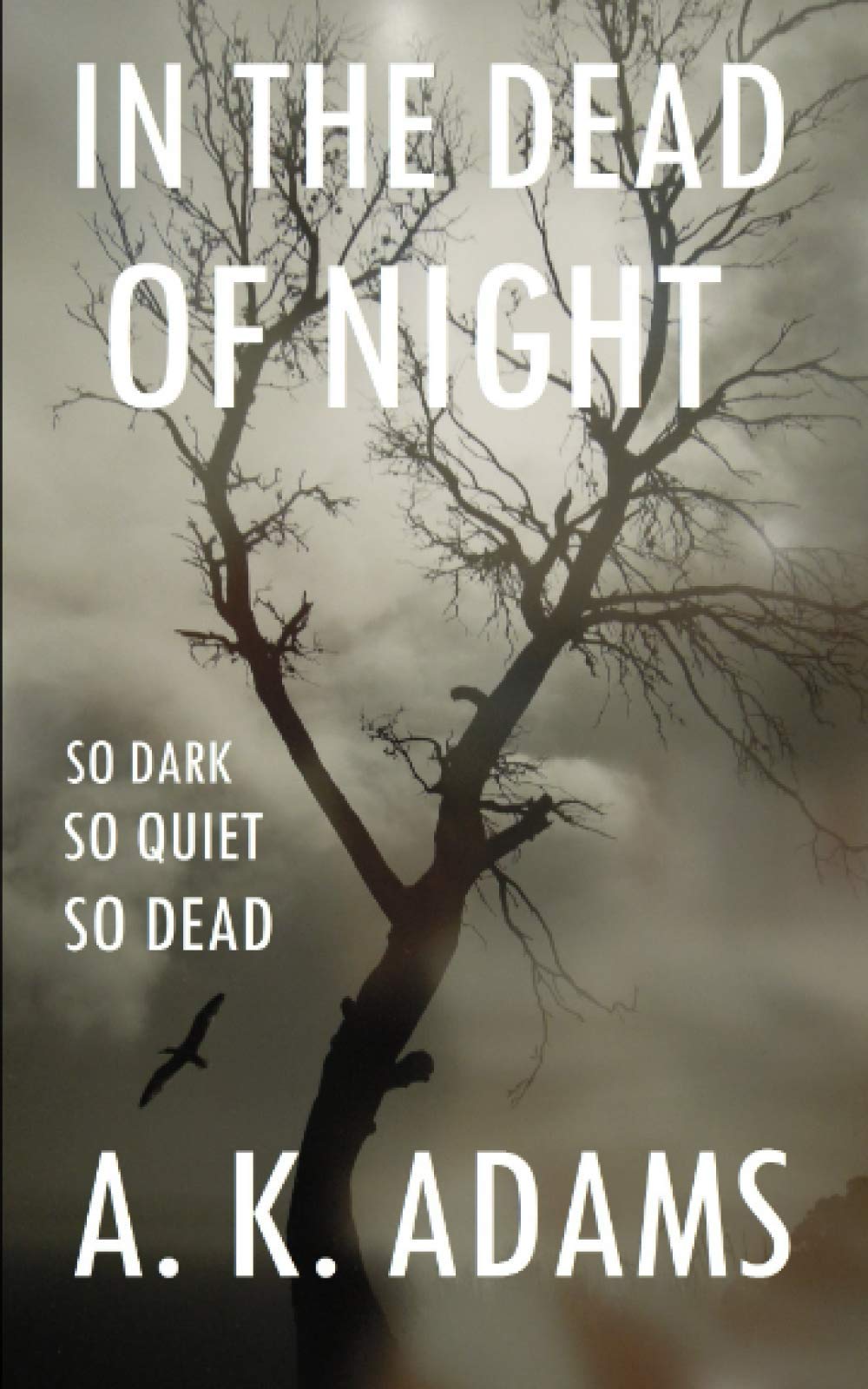In The Dead Of Night