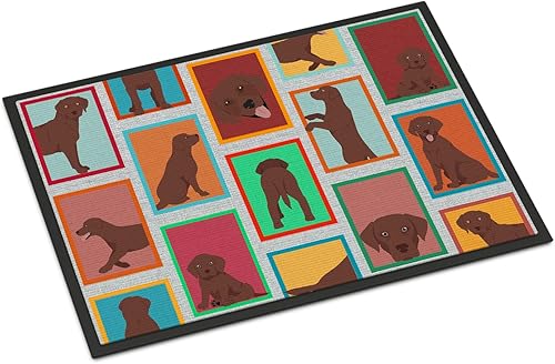 Vista 92 de Caroline's Treasures MLM1087MAT - Felpudo de perro de montaña bernés de 18 x 27 pulgadas, para interiores y exteriores, para entrada, Bernese