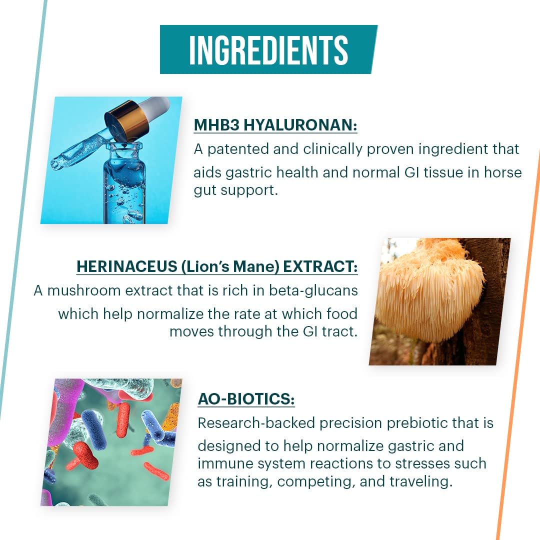 Alimend Stomach Support for Horses, 64 Fluid Ounce (1893 ml) : Pet Supplies