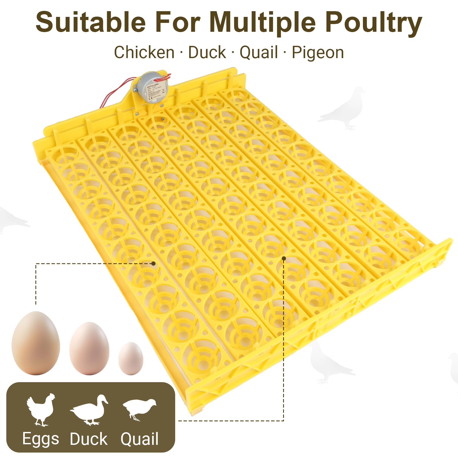 Volteador automático de huevos (70 huevos)