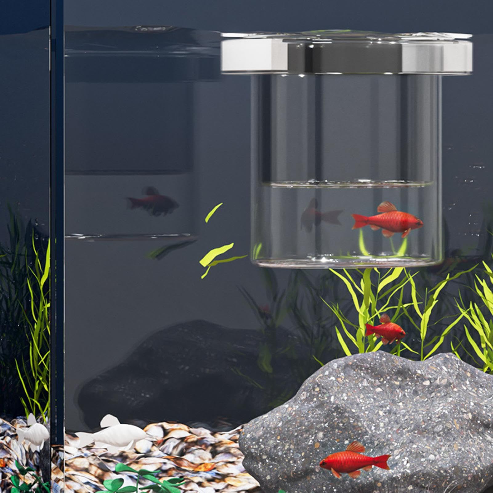 Scatola per allevamento di pesci per acquario, separatore di pesci per acquario, divisore sicuro per vivaio di acclimatazione Guppy gamberetti Betta Fry Hatchery