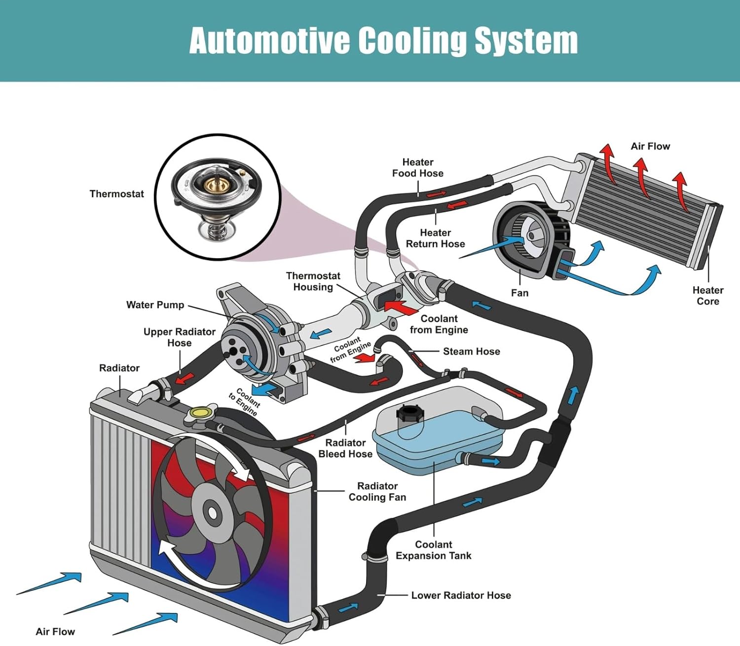 Car Engine Cooling Thermostat Compatible With Acura For ZDX 2010 2011 2012 2013 For CL 1997 1998 1999 19301-P8E-A10 Engine Thermostat Housing Assembly Coolant Control