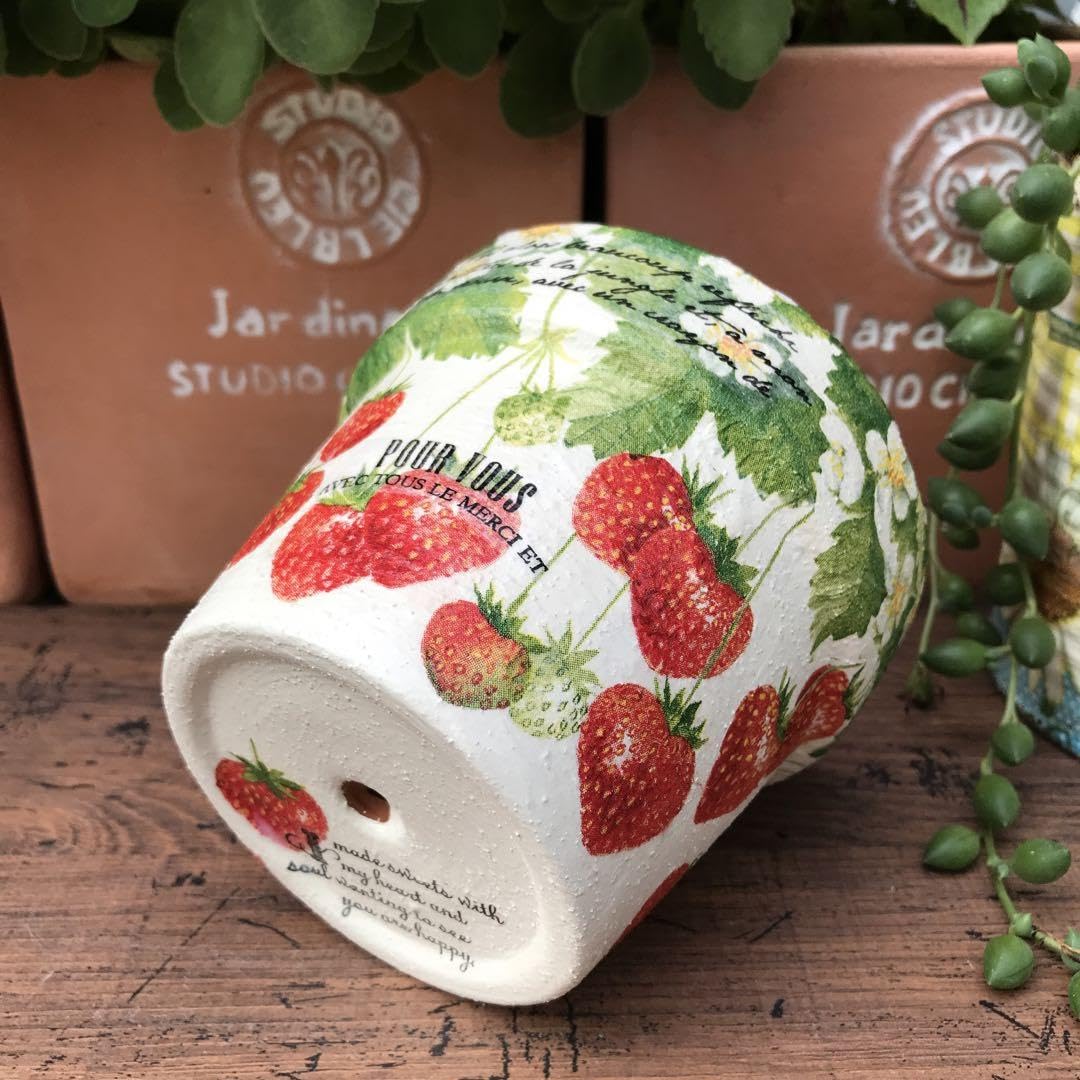 Amazon.co.jp: ご購入品 リメイク鉢 ぽってりタイプ いちご畑 : ホビー