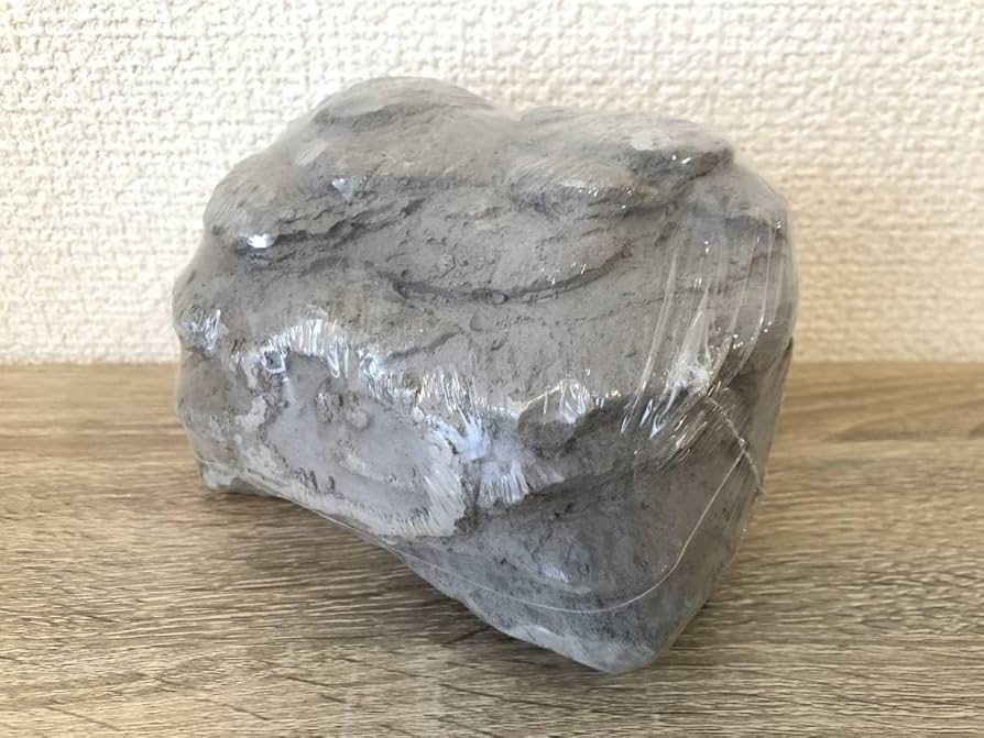 Amazon.co.jp: 恐竜 化石 発掘 キット udgravningsst excavation