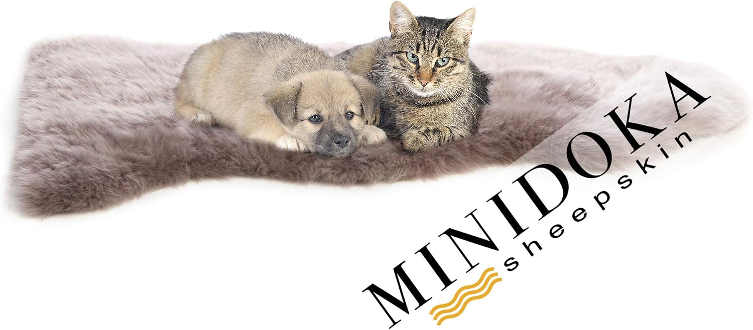 Desert Breeze Distributing Minidoka Sheepskin Pet Bed, Mocha Brown, Spring Lamb Pelt, for Dog or Cat, Natural Length Silky Soft Wool