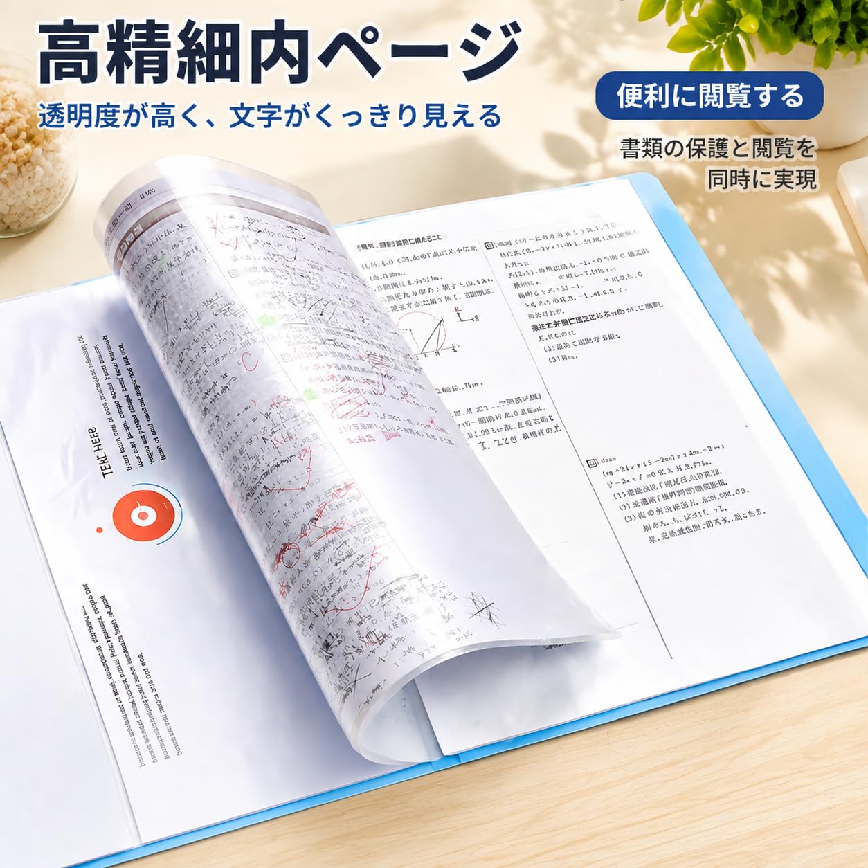 Amazon.co.jp: A4クリアファイル 20/30/40/60/80/100ポケット 固定式