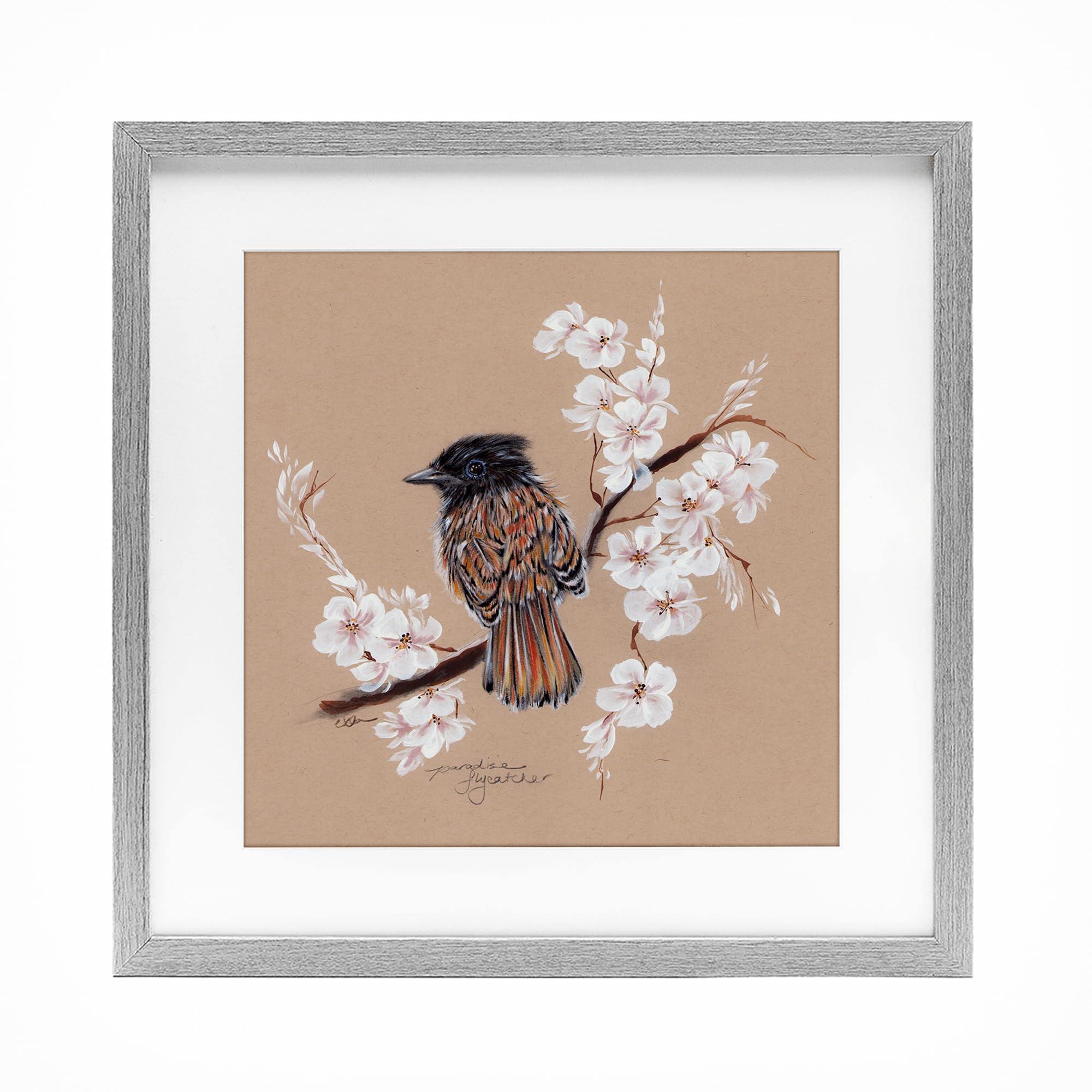 Stupell Industries Perched Bird Neutral Apple Blossoms Gray Framed Print Under Glass, design by Cady Driver, 16 x 16