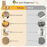Ver la foto 6