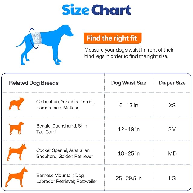 Foto 5 de 8 de American Kennel Club Pañales Desechables para Perros machos, con indicador de Humedad, tamaño pequeño