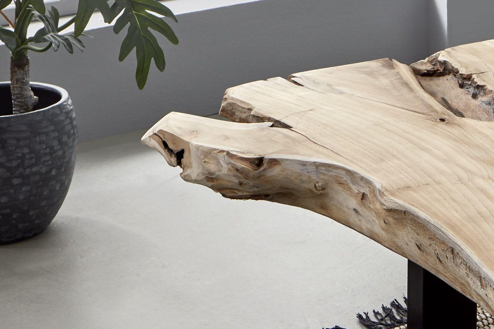 SAM Couchtisch Ibiza, Beistelltisch aus Baumwurzelholz, 120 x 80 x 40 cm