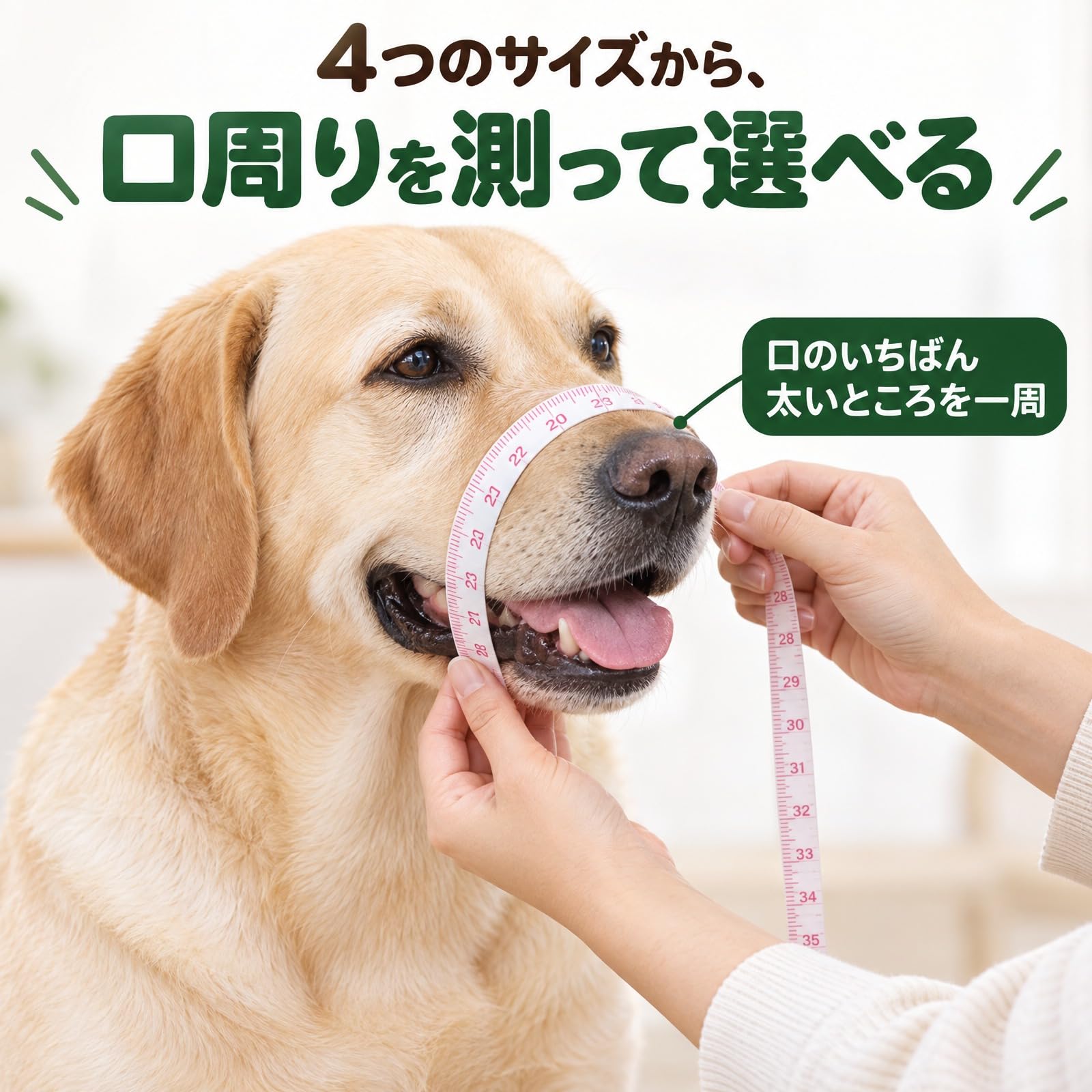 Amazon | ateena 犬 口輪 【2026新型 水飲み可能】 噛みつき防止 無駄