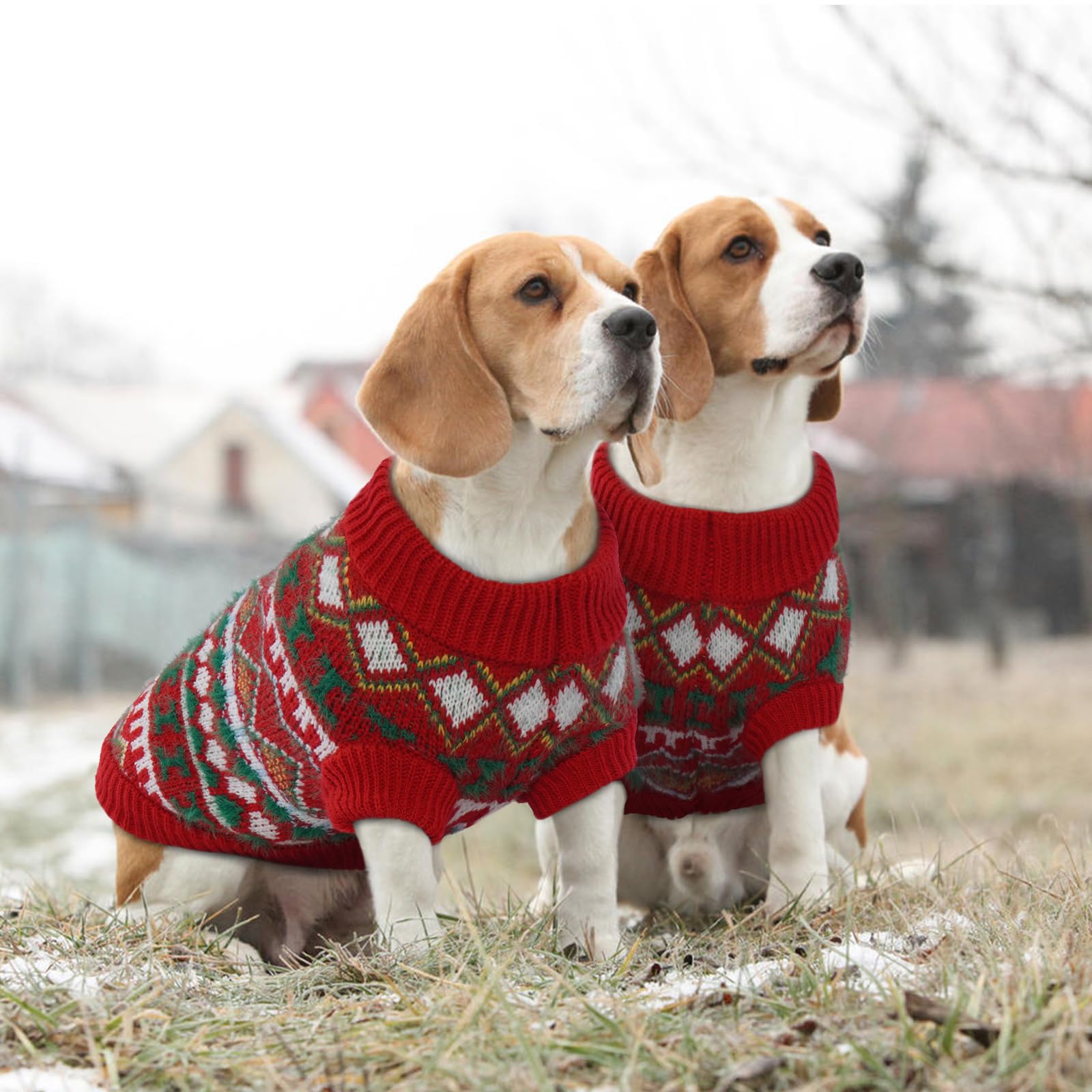 Jersey Perro - Jersey Perro Mediano Precioso Jersey para Perros Jersey Navidad Perro, Jersey Cálido para Perro Ropa Boho Perro Mediano, Ropa para Perros Medianos (Rojo-Verde XL)
