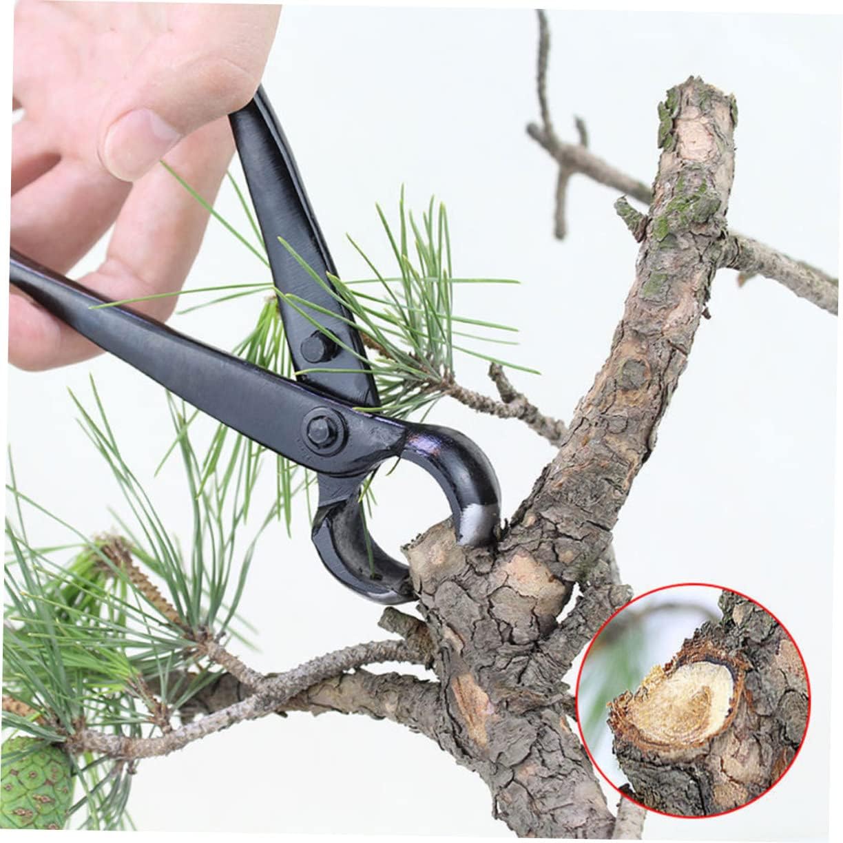 Bonsai Pruning Pliers Bonsai Balls Joint Pliers Branch Knob Cutter Round Concave Edges Tools Kit