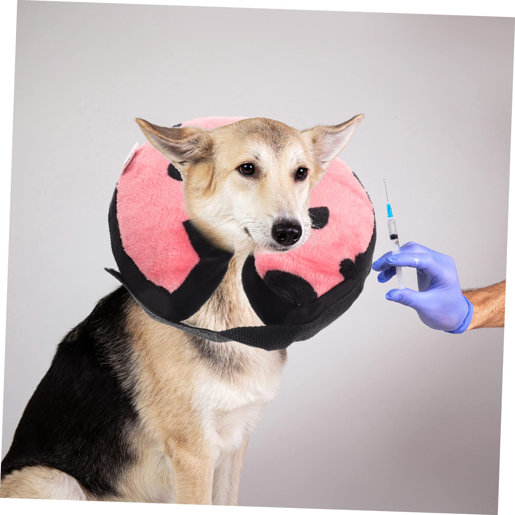 Beavorty 4piezas Collar Inflable De para Gatos y Collar Protector para Comidas y Accesorio Cómodo