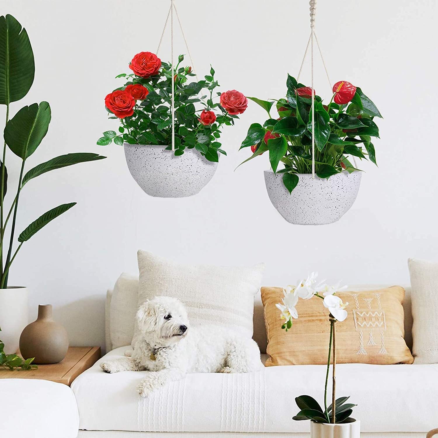 LATERN 2 Pièces Pots De Fleurs Suspendus, 25cm Blanc Moucheté Pots De Fleurs Suspendus Avec Trous De Drainage Et Bouchons, Jardinières Suspendues pour Boho Home Garden Decor