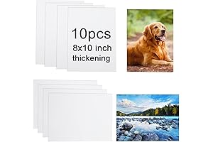 10 Pack of Sublime Surfaces for Your Creative Canvas: Sublimation Yard Sign Blanks (8"x10")