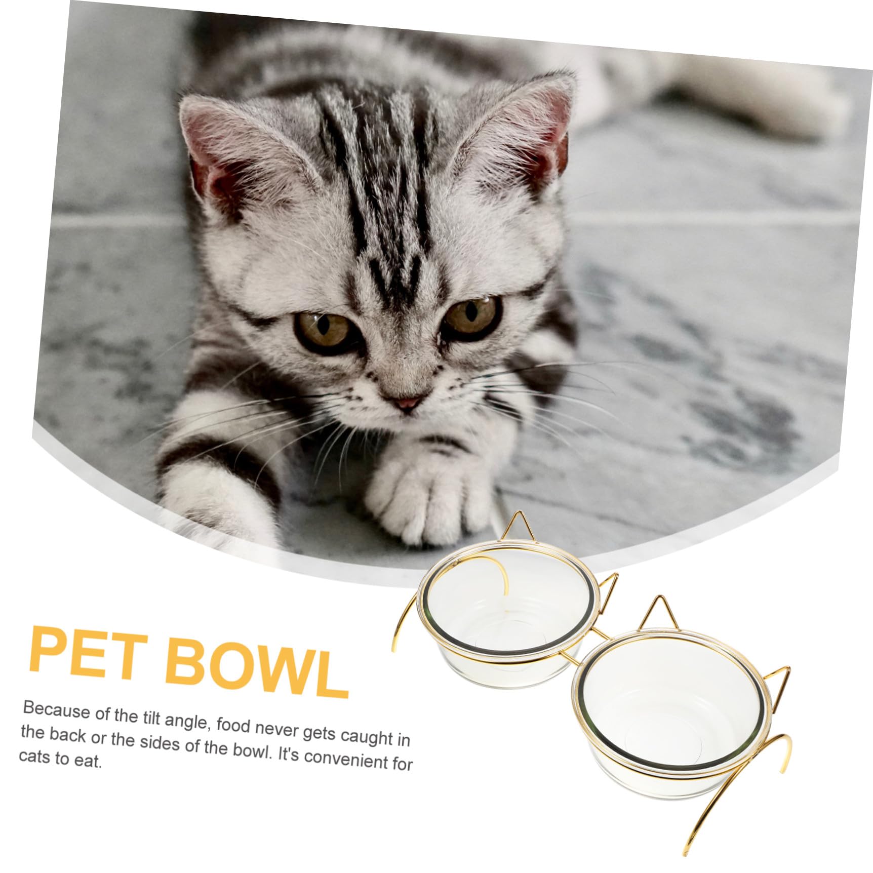 Glas Erhöhter Katzennapf Hilft bei Verdauung mit Nackenschutz Geneigter Futterschale für Katzen und Kleine Hunde