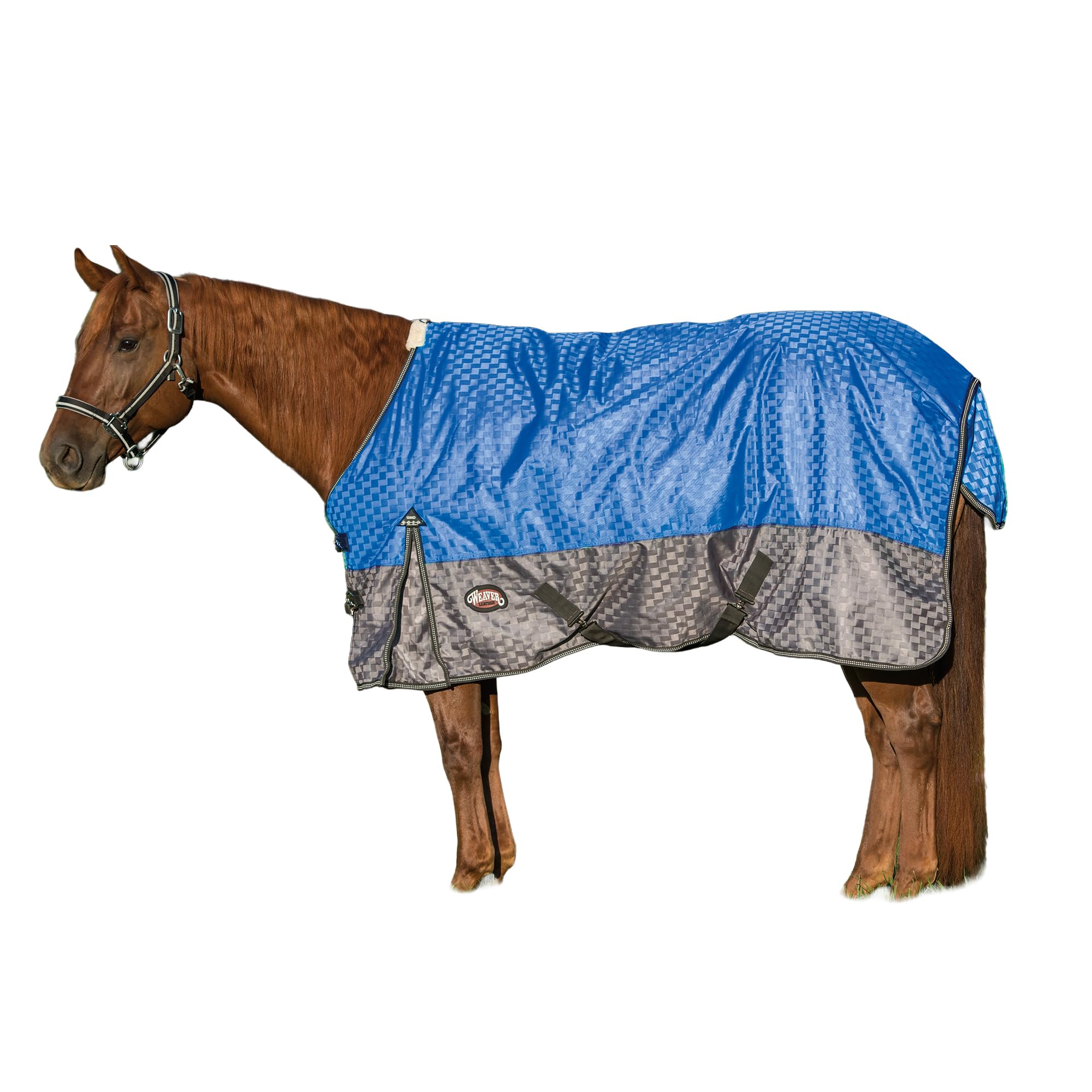 Weaver Equine - Telo antipioggia per cavalli 600D, di alta qualità, con fodera in pile, traspirante e impermeabile, multiuso, 190,5 cm, blu