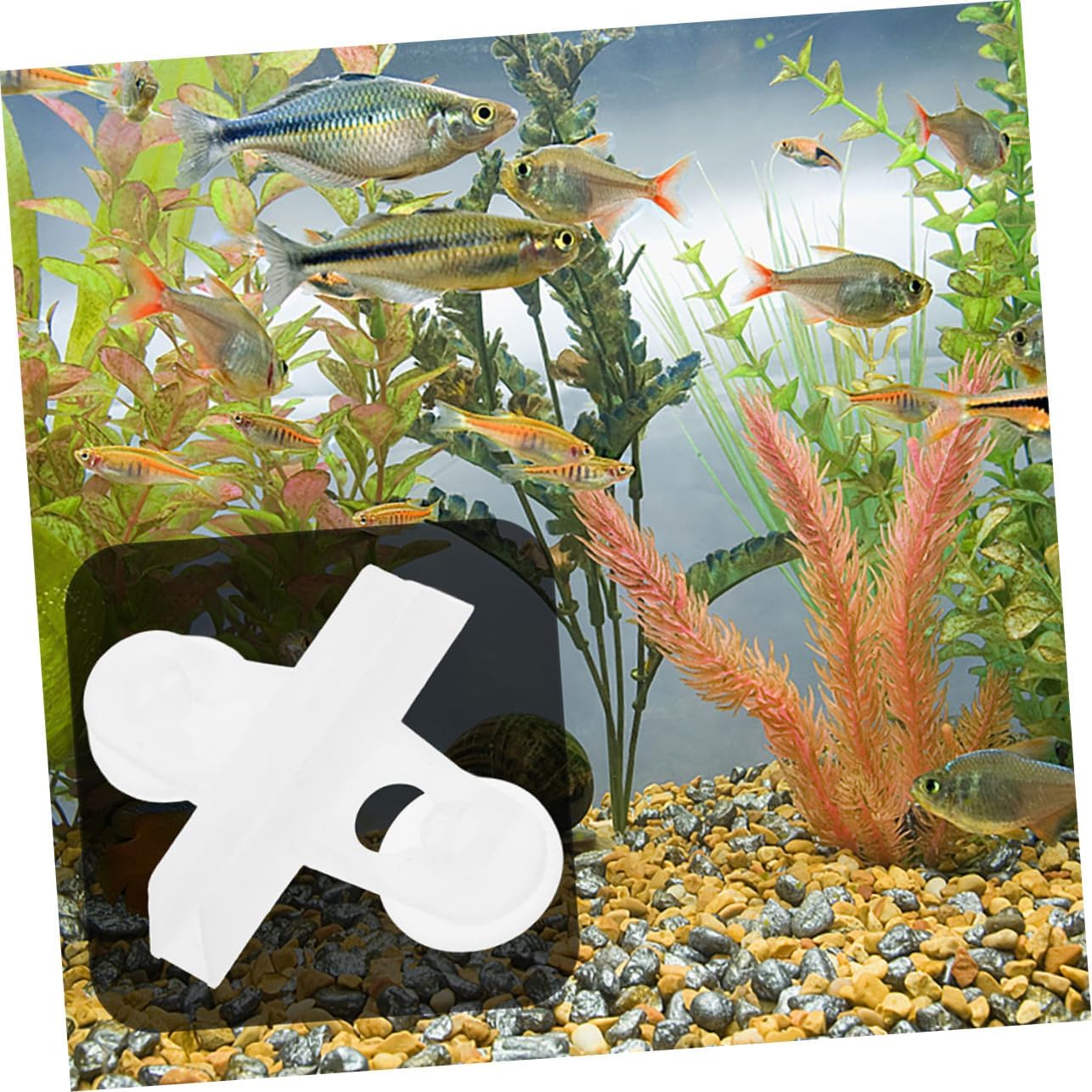 20pcs Aquarium Divider Clips with Suction Cup Holders Sturdy Abs Fish Tank Isolation Plate Support for Easy Installation Versatile Use Secure Stable for Various Tank