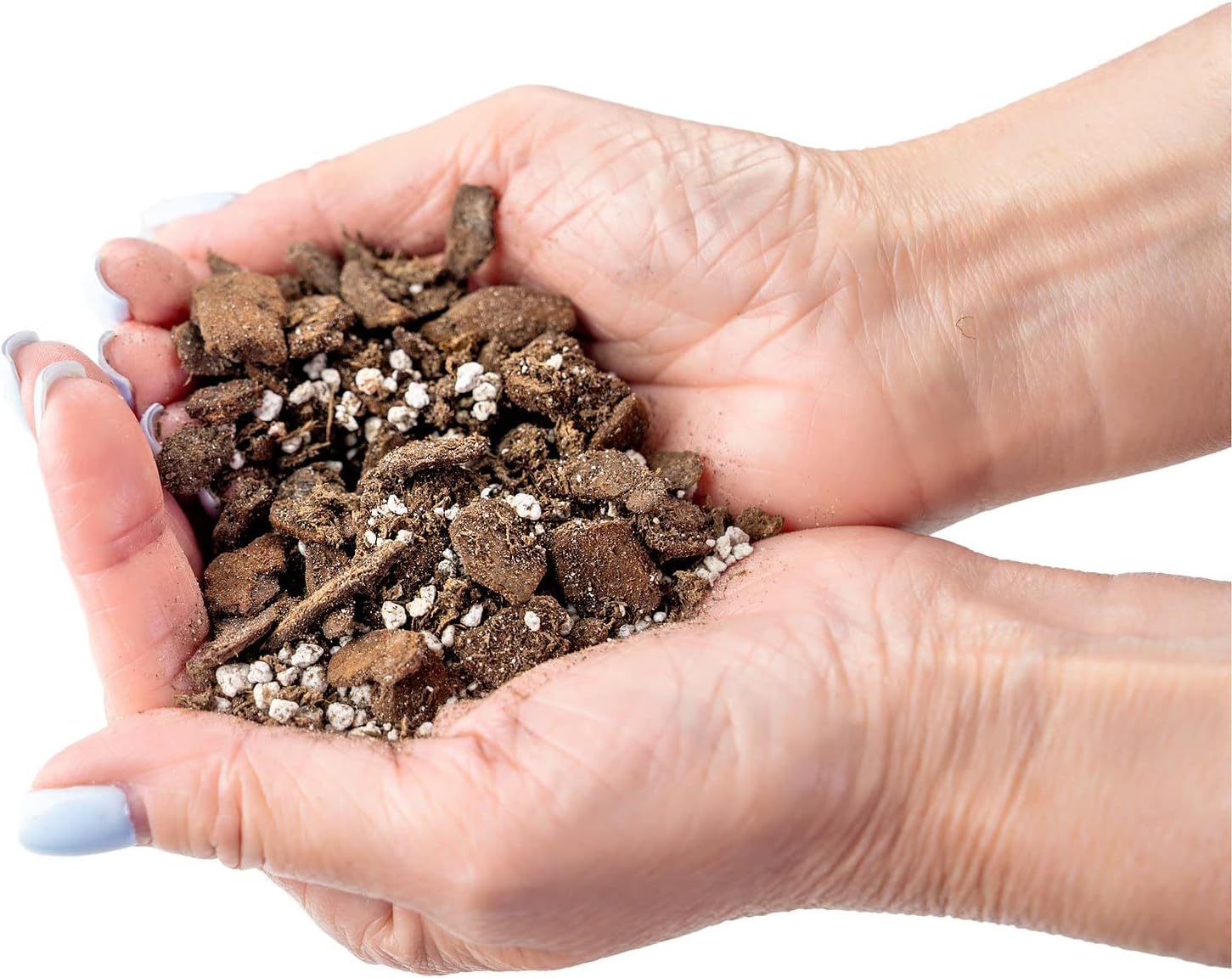 Gardenera Professional Succulent Soil Premium All Purpose Blend | Pre-Mixed Ready to Use for Cactus and Succulents | Sphagnum Peat Moss, Perlite, New Zealand Pine Bark - Made in USA - 1 Quart - Image 4