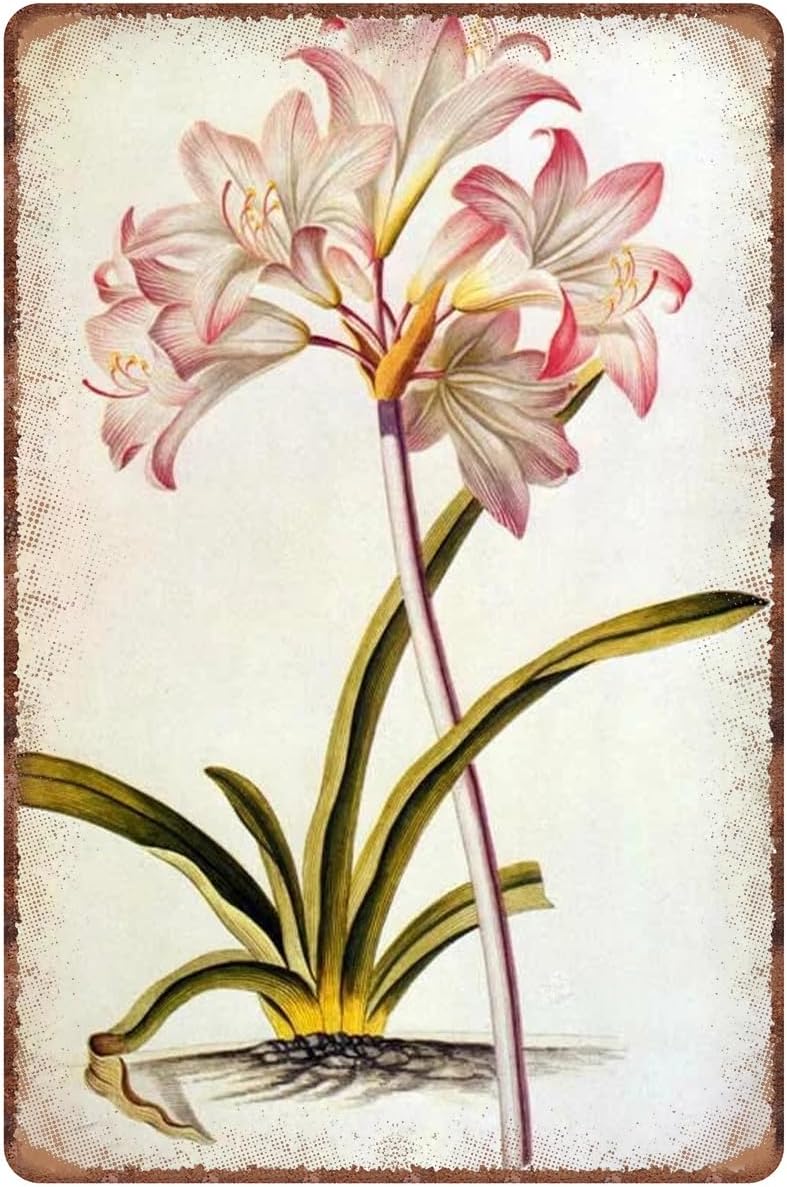 Retro Belladonna Tin Sign Metal Wall Art Iron Painting for Indoor Outdoor Home Decor Room Door Accessories Poster Gifts Cafes Bar Club Office Store Yard Garage 5.5"x8"