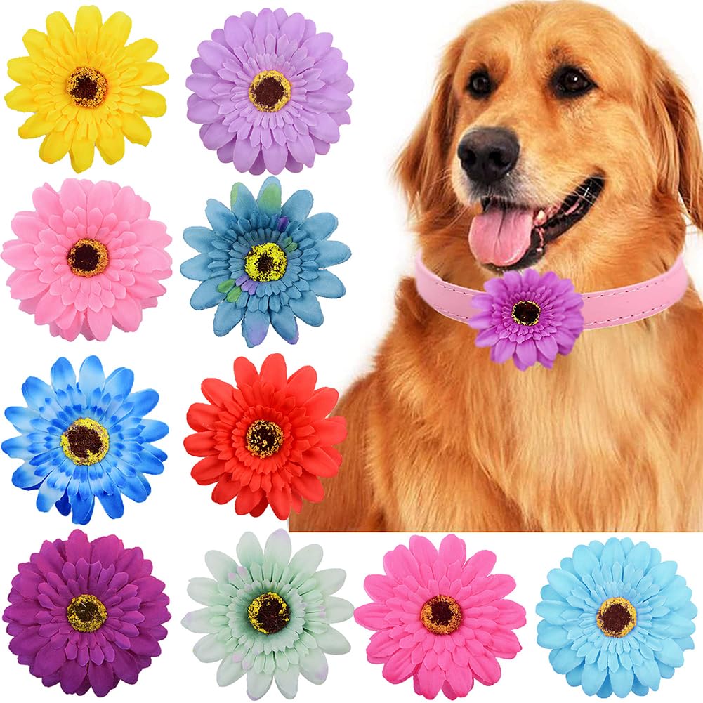 JIHUOO 8cm Daisy Dog Collar Flowers - 15 Pcs Pet Collar Accessories Bow Ties for Large Dogs - Cute Pet Grooming - Image 2