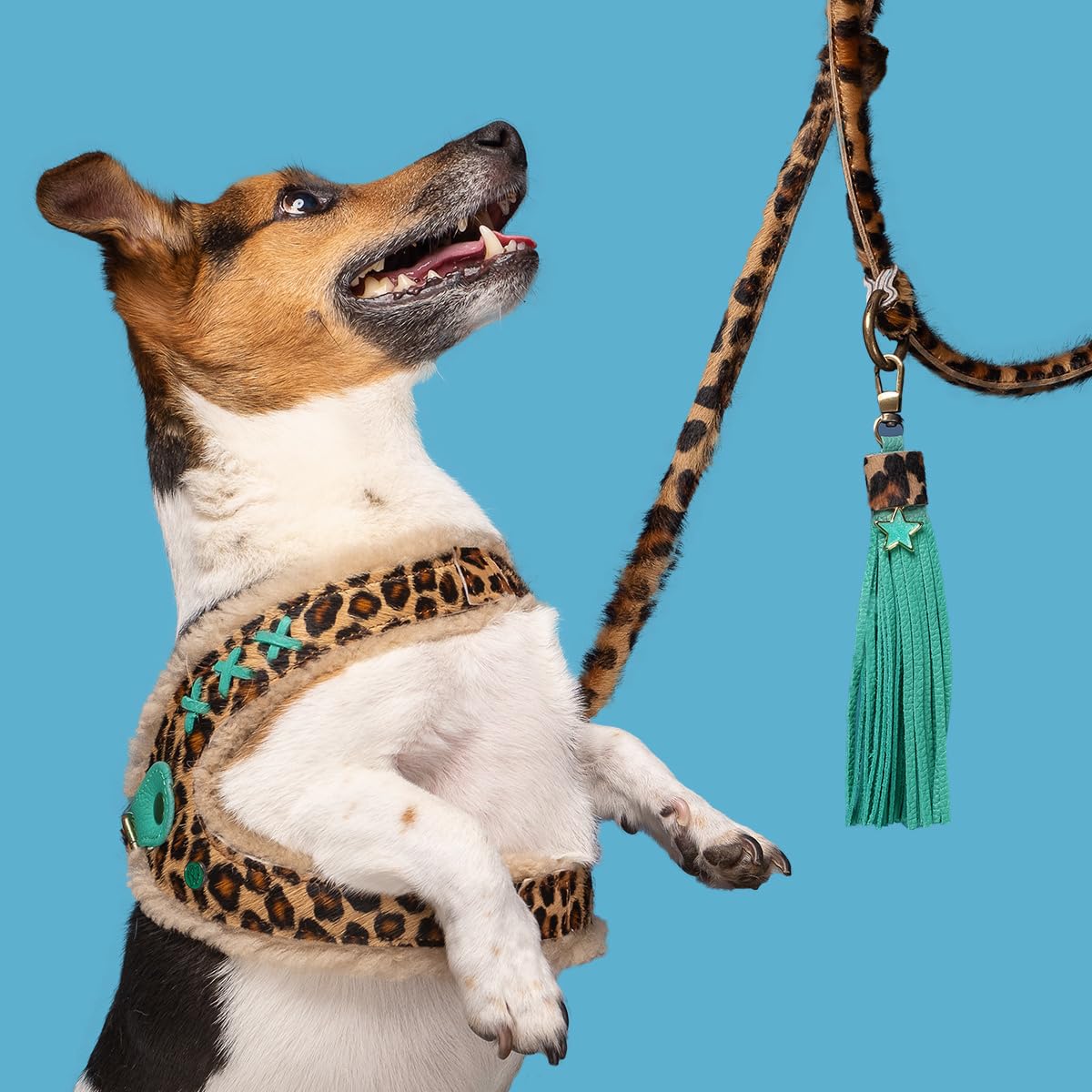 Dog with a Mission - Hundeleine S | Leine für Hunde mit Tierdruck | Robuste Führleine mit stabiler Karabinerhaken - 220 cm x 1 cm | Leder - Modisches und stilvolles Leopardenmuster