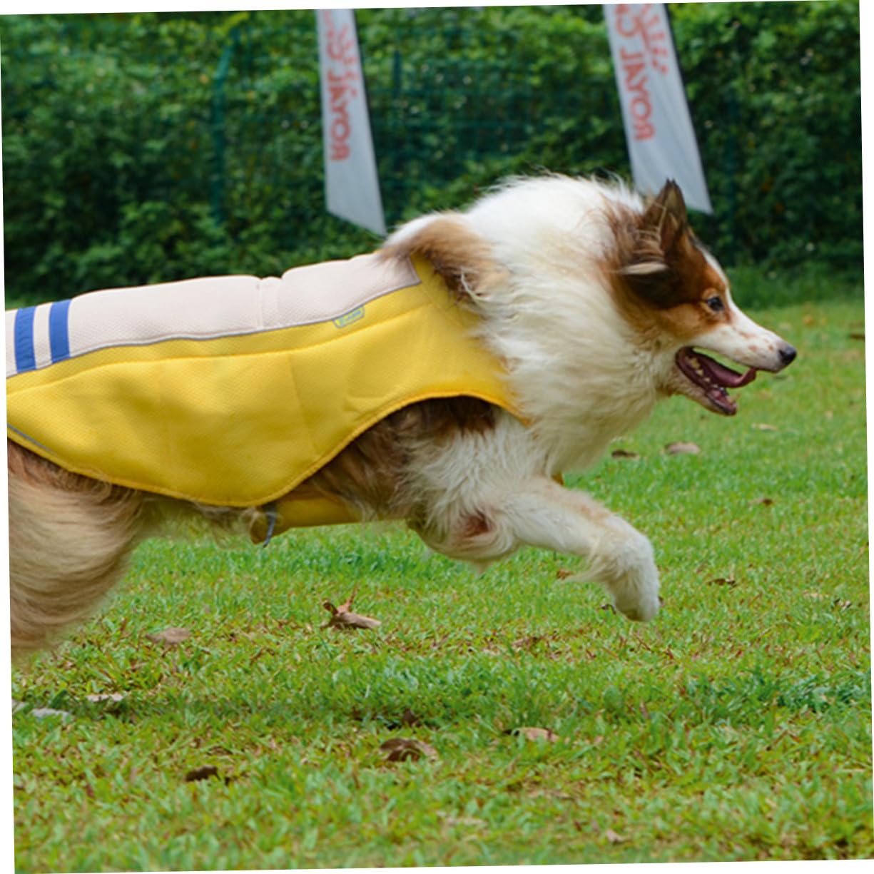 BESTonZON Gilet De Prévention pour Animaux De Compagnie Gilet Rafraîchissant Tissu Respirant Jaune Taille l Protection Solaire pour Chiens Été Promenade Entraînement