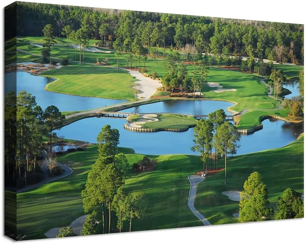 chenchenArt King's North Golf Course Wall Art for Living Room Bedroom Bathroom Home Decorations Myrtle Beach National Club Picture Canvas Prints Modern Artwork Framed Ready to Hang(24''H x 36''W)