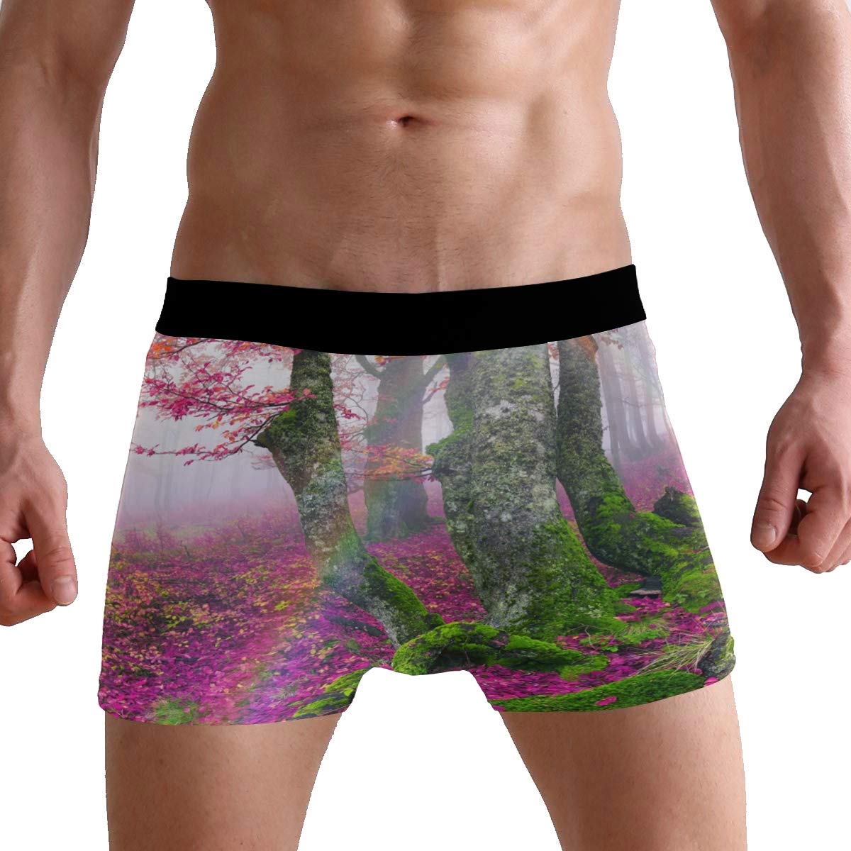 Men's Boxer Briefs Autumn Fall Tree Leaves Rainbow Soft Short Underpants Underwear for Men Boys