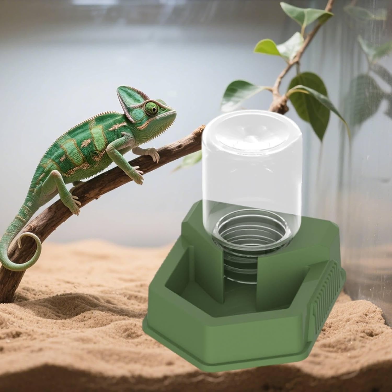 2xReptile Food Feeder Bowl Feeding Accessories High Performance Pet Supplies Water Dispenser Drinking Tool for Tortoise Geckos, 3 Pcs