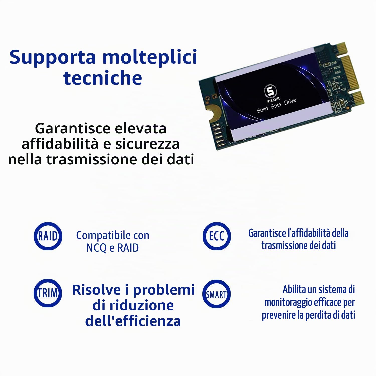 THREE COLOUR DOGFISH SSD M.2 2242 60GB Ngff Shark Desktop All'interno Del Disco Allo Stato solido Ad Alte Prestazioni Hard Disk Comprende 120GB 240GB 250GB 480GB 500GB(60GB, M.2 2242)