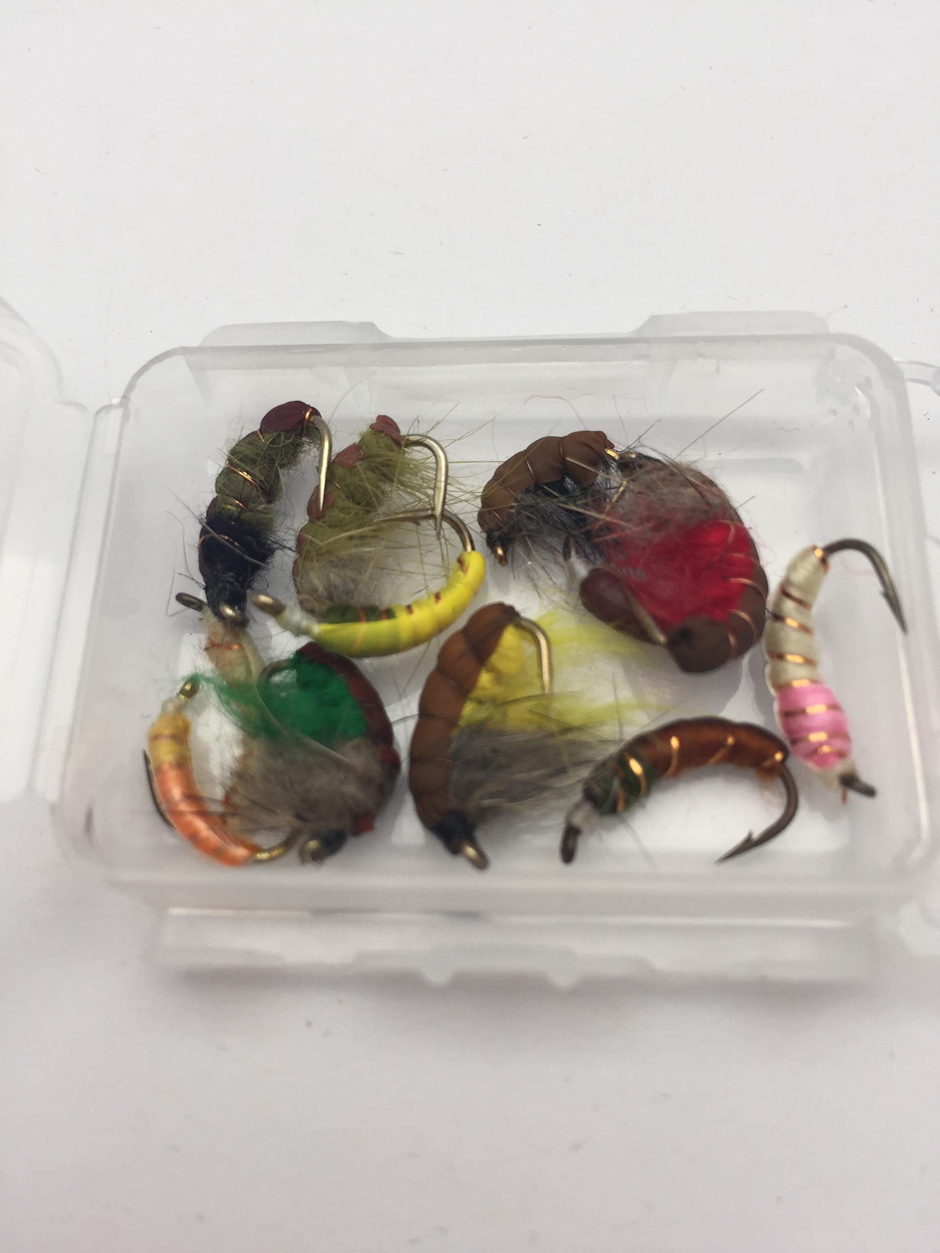 Fly Fishing CZECH NYMPHS Copper Wire weighted 12 Pack sized 10-12#136