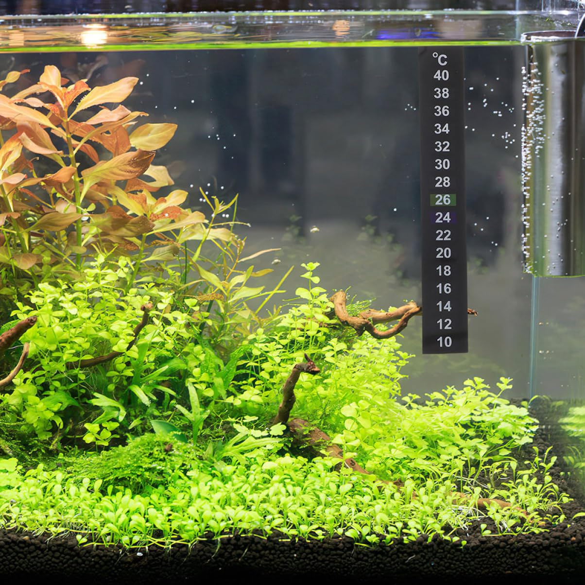 Hemobllo 12 pièces Autocollants Thermomètre Digital pour Aquarium Lot de Indication de Température Facile Stickers Adhésifs pour Aquariums et Bacs à Poissons