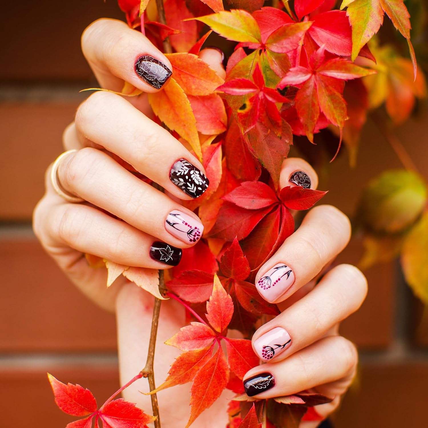 AnyDesign 3 Sheet Fall Thanksgiving Nail Art Stamping Plates Kit Assorted Maple Leaves Plaid Autumn Blessings Collection Nail Art Plate for Autumn Thanksgiving Design DIY Print Manicure Salon