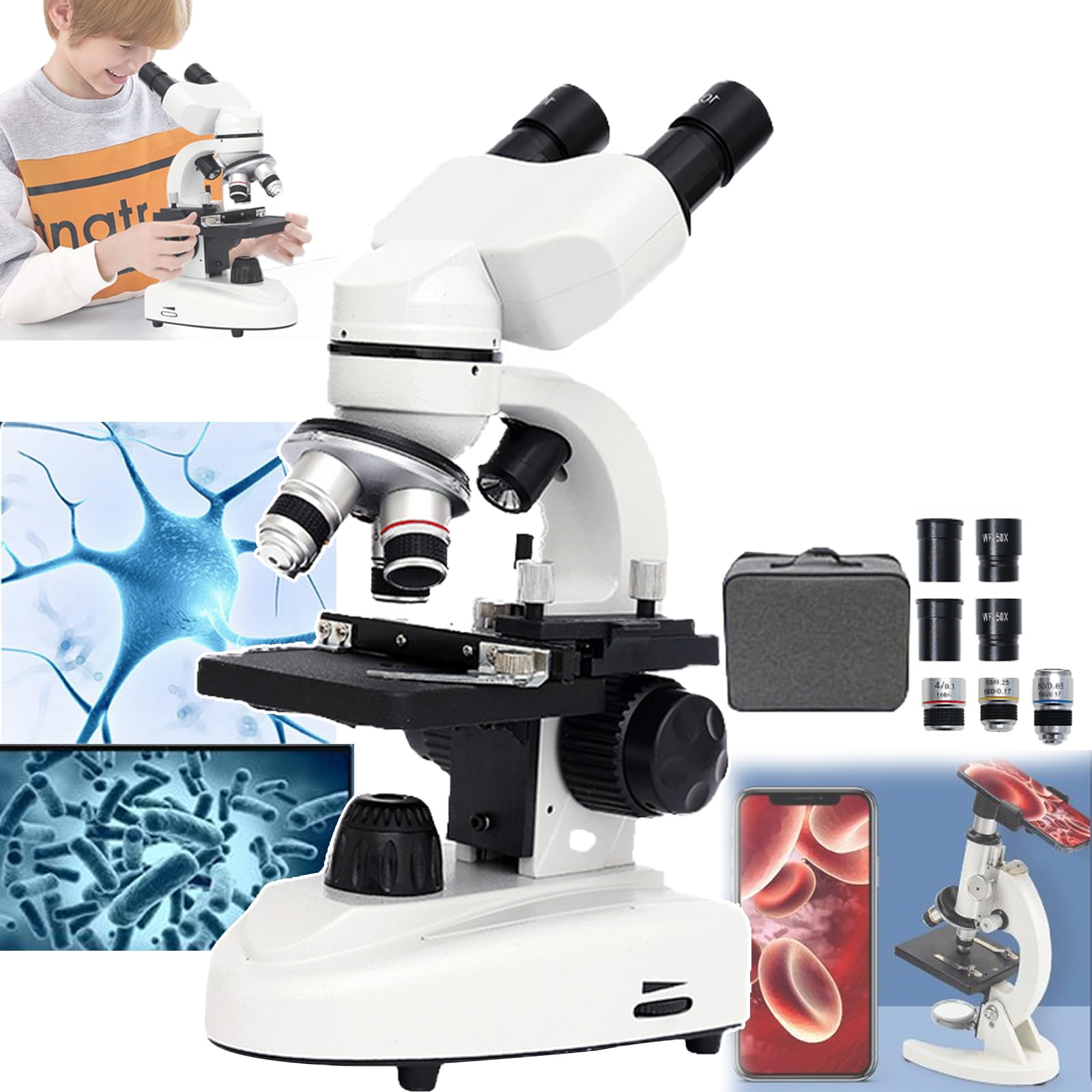 Confocal Optische Microscoop Van Het Laseraftasten Voor Biologische Monsters 104483720