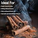 Go Vegan Cinnamon Sticks Original 100gm |Dalchini Cinnamon Stick | World's Finest Ceylon Cinnamon Quills | Genuine Source Certified gallery image
