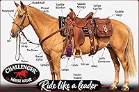 Vista 5 de CHALLENGER 22" Western 27 Strand Double Weave Purple Mohair Roper Cinch 97RT07PP-22