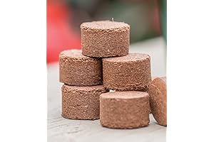 Burpee Super Growing Pellets - 72 Count Coir Seed Starting Pellets for Plants and Flowers