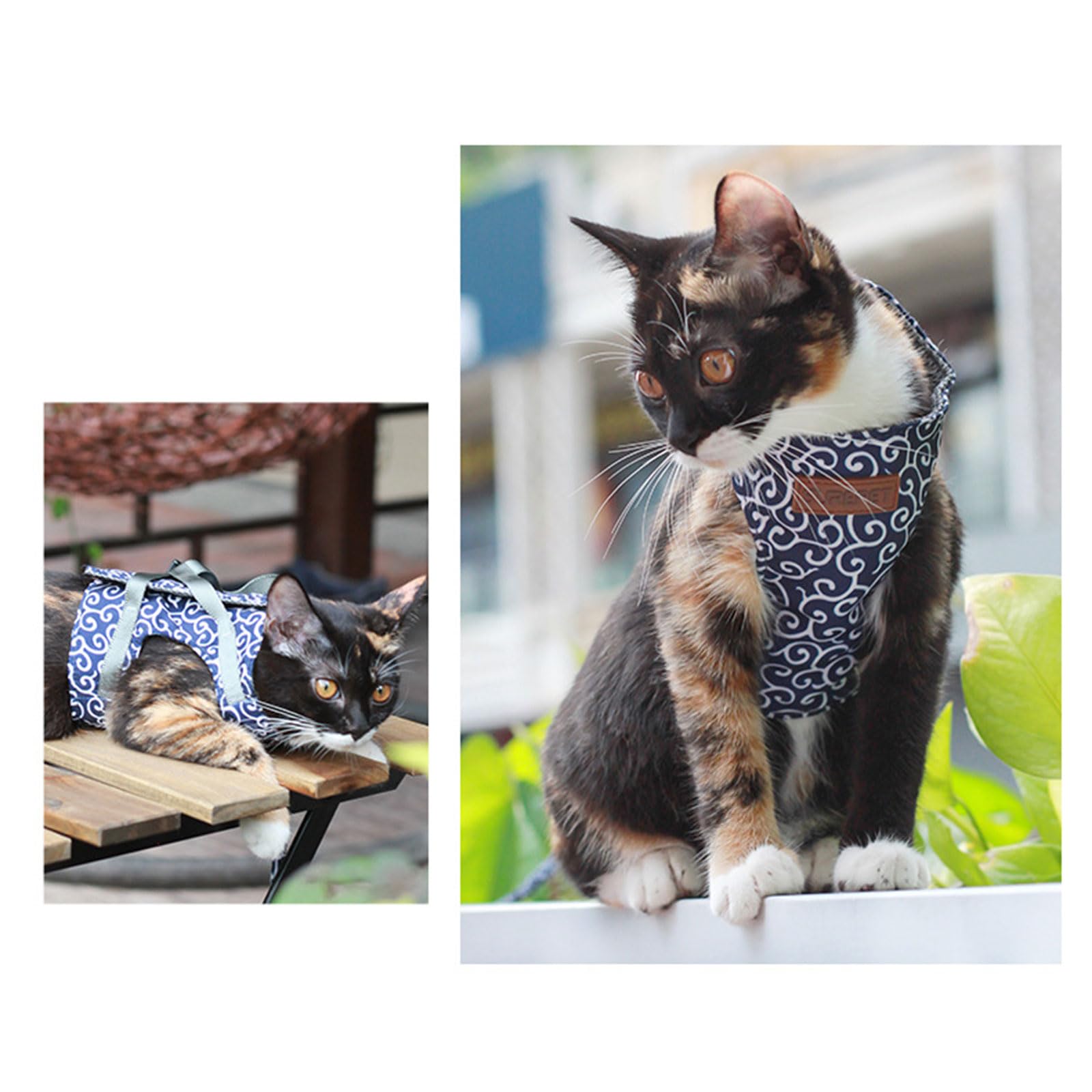 Grande gilet imbracatura guinzaglio set per gatti piccoli a prova di fuga regolabile e traspirante gattino gilet sicuro gatti attrezzature da passeggio