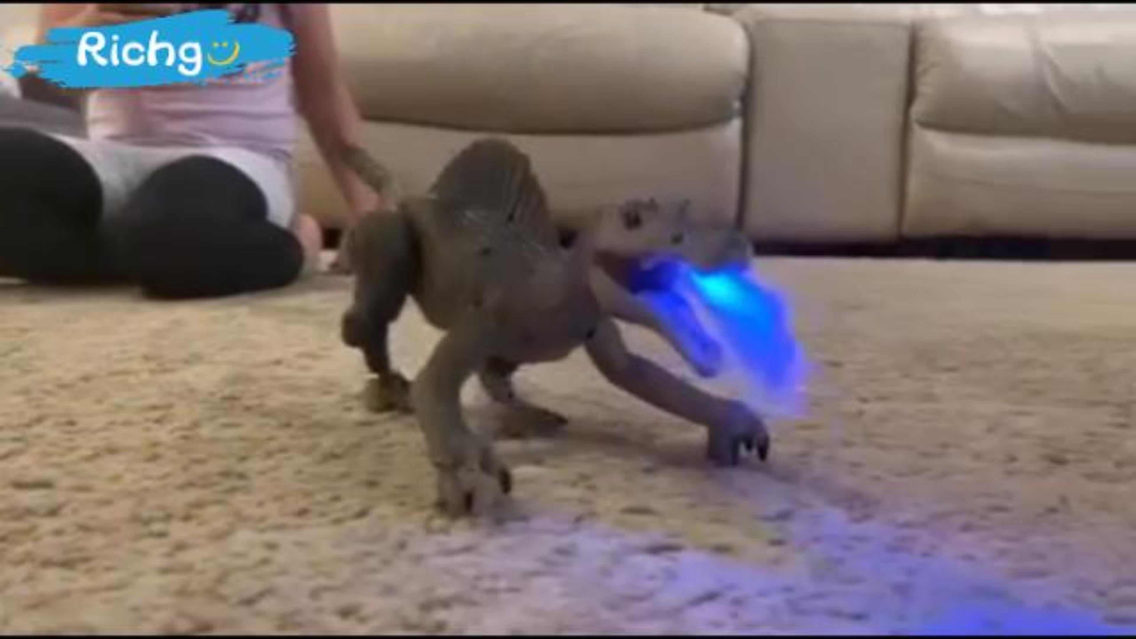 Amazon.com: Richgv Dinosaur Toys for Kids 3-5-7 Years Old, Remote