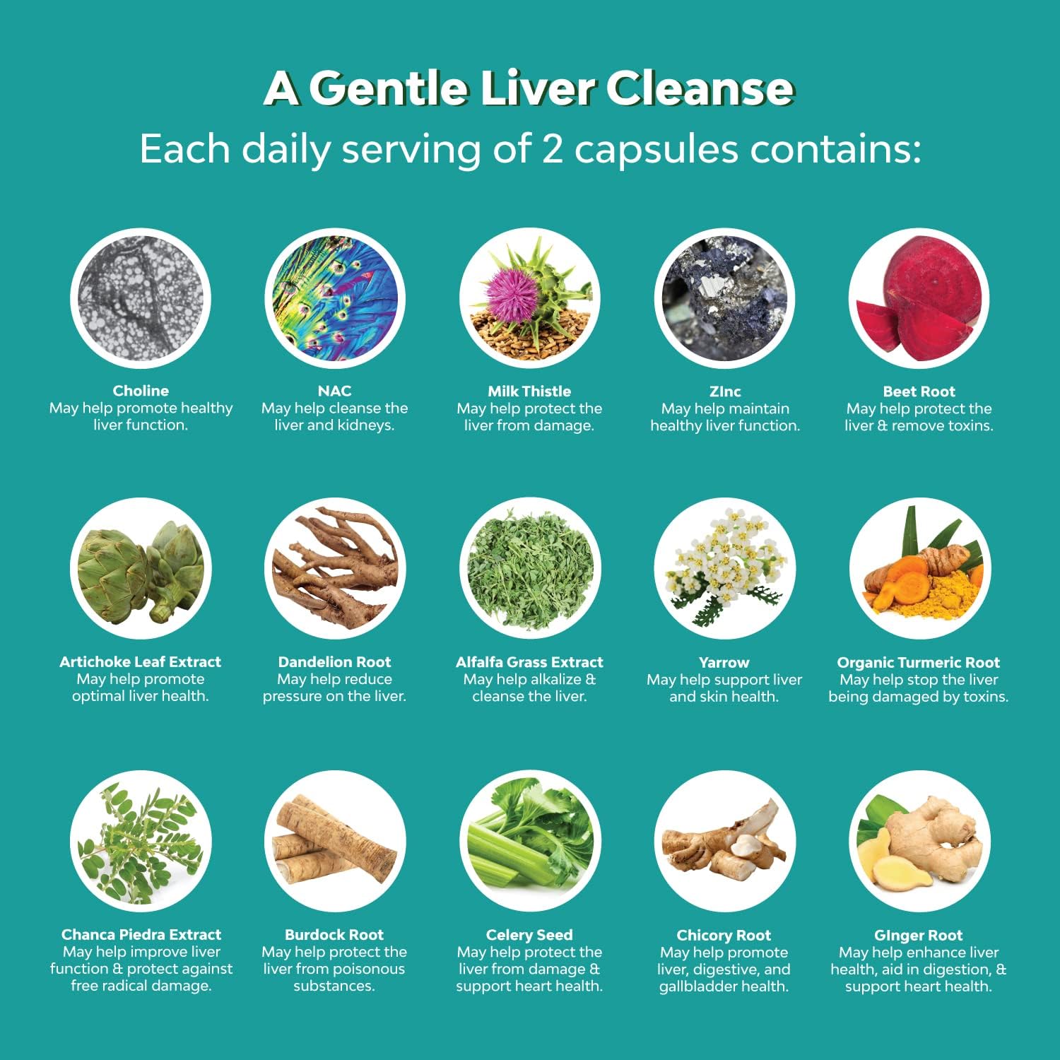 Liver Support Supplement with NAC - Herbal Liver Supplement with N Acetyl Cysteine Silymarin Milk Thistle Extract Dandelion Root Artichoke Extract Choline Bitartrate and Berberine for Liver Cleanse