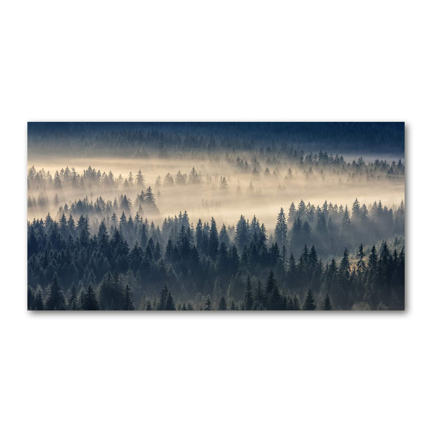 Tableau sur verre brouillard au-dessus de la forêt déco salon et cuisine 120x60