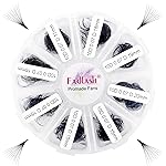 Premade Fans Eyelash Extensions Mixed Tray 1000 Premade Lash Fans 10D Premade Volume Eyelash Extensions Pointed Handmade Promade Loose Fans D Curl Thin Base (10D-0.07D, 15-20mm)