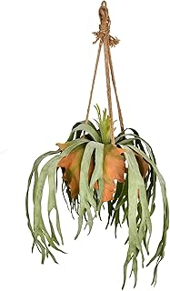 Vickerman Everyday 22