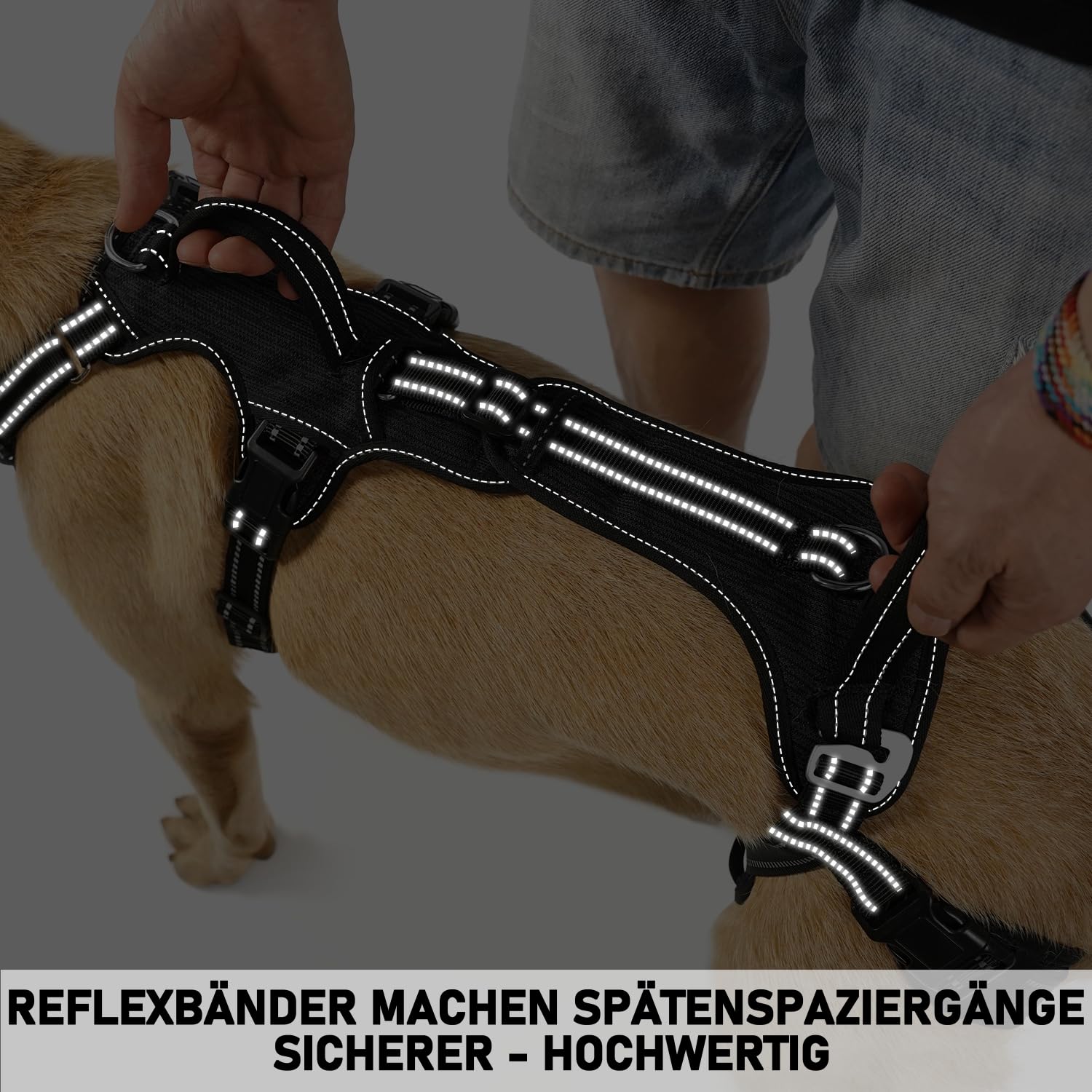 COODEO Tragehilfe Hund Hinterbeine, Hunde Hebegeschirr mit Schultergurt, Hundelift Gehhilfe für alte Hunde, Reha-Geschirr bei Arthritis, Gelenkverletzung, OP & Treppenhilfe (Schwarz, M)