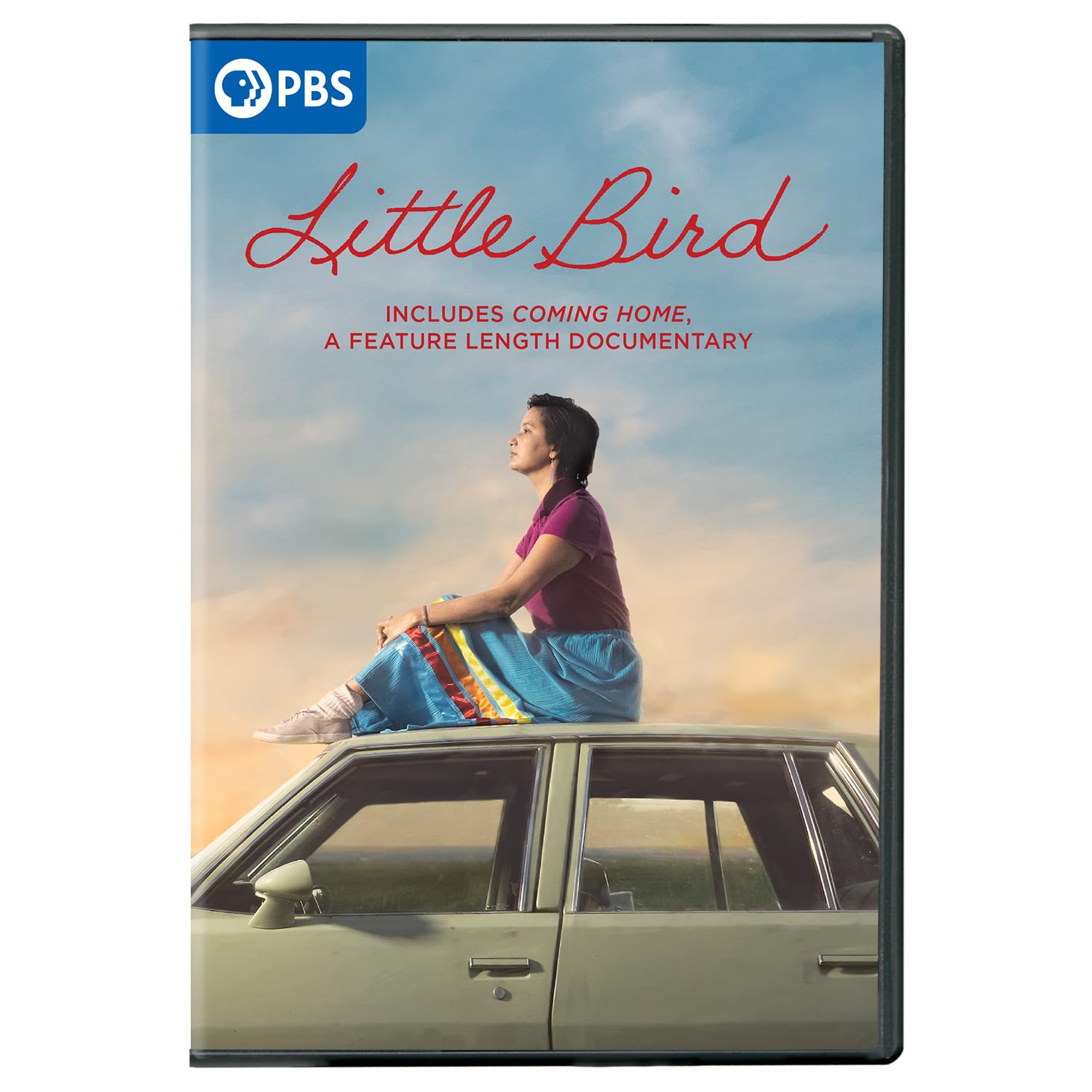 Little Bird