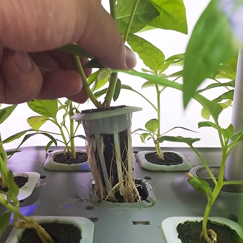 Miniatura 8 de Cápsulas de iniciación de semillas de esponjas, suministros hidropónicos para plantas de interior, compatibles con QYO, LYKO, sistema de cultivo